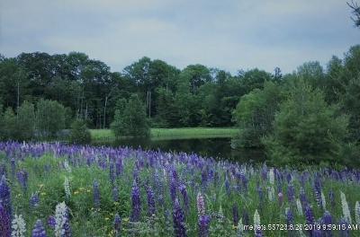 16 Bean Farm Road Vienna, ME 04360 - Photo 2 of 46 thumbnail (21)
