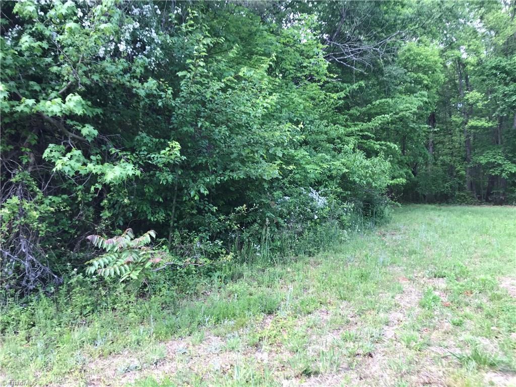 0 Kinney Road Lewisville, NC 27023 - Photo 4 of 7 Gallery Image 4