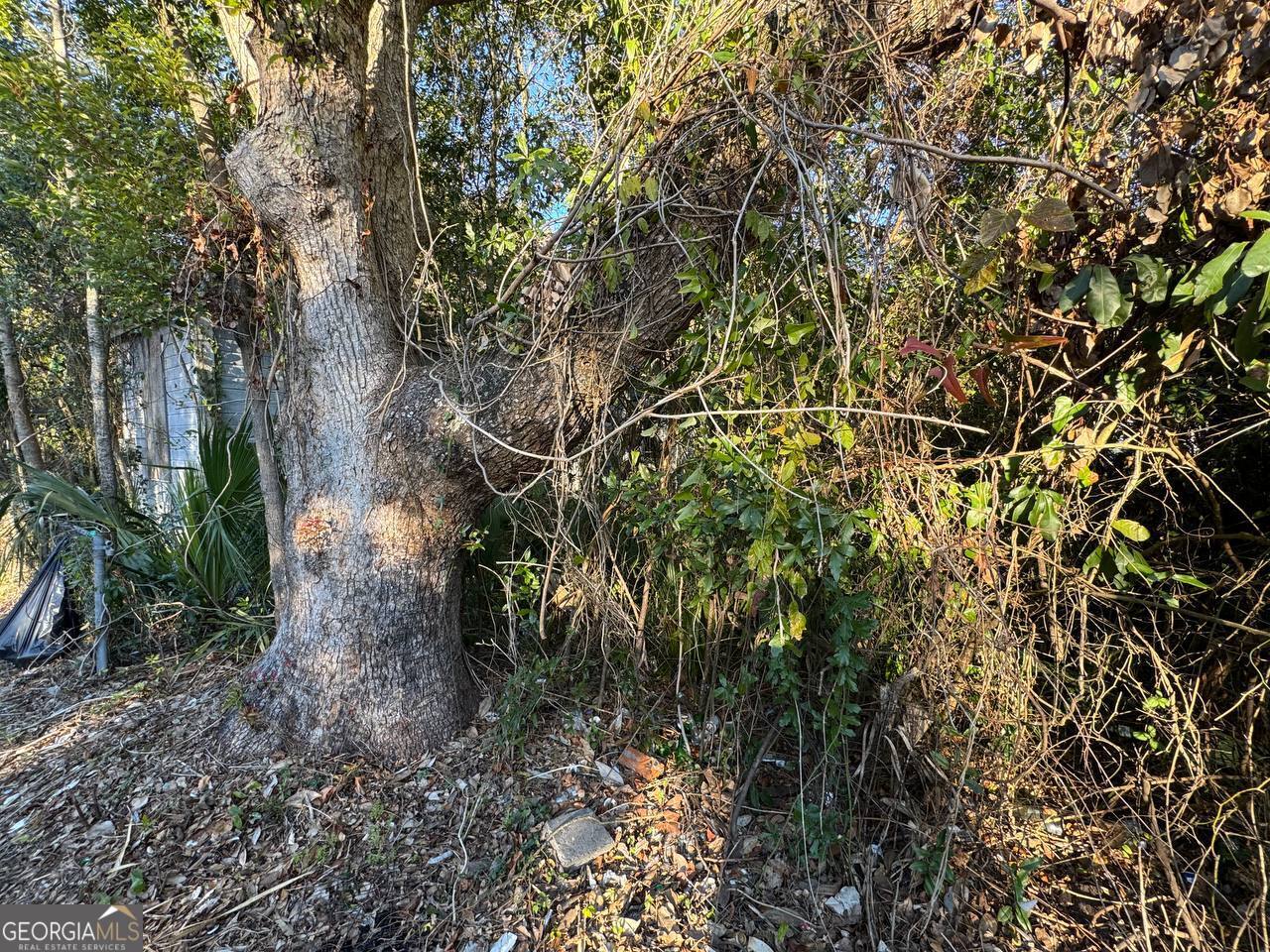 916 Gordon Street Brunswick, GA 31520 - Photo 75 of 77