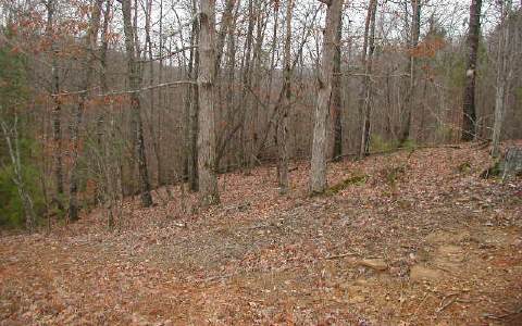 Camp Branch Road Ellijay, GA 30536 - Photo 1 of 1 a view of a backyard