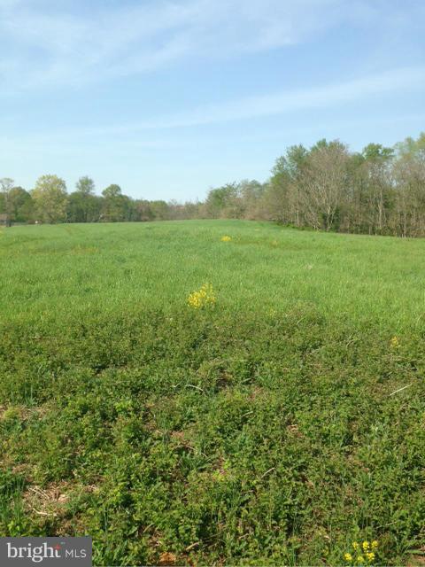 Tranquility Road Purcellville, VA 20132 - Photo 2 of 3 Hardwoods and open spaces