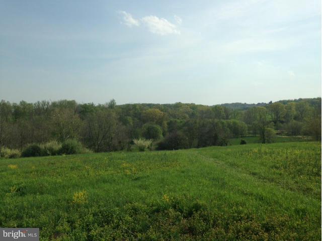 Tranquility Road Purcellville, VA 20132 - Photo 3 of 3 Big sky with Goose Creek below