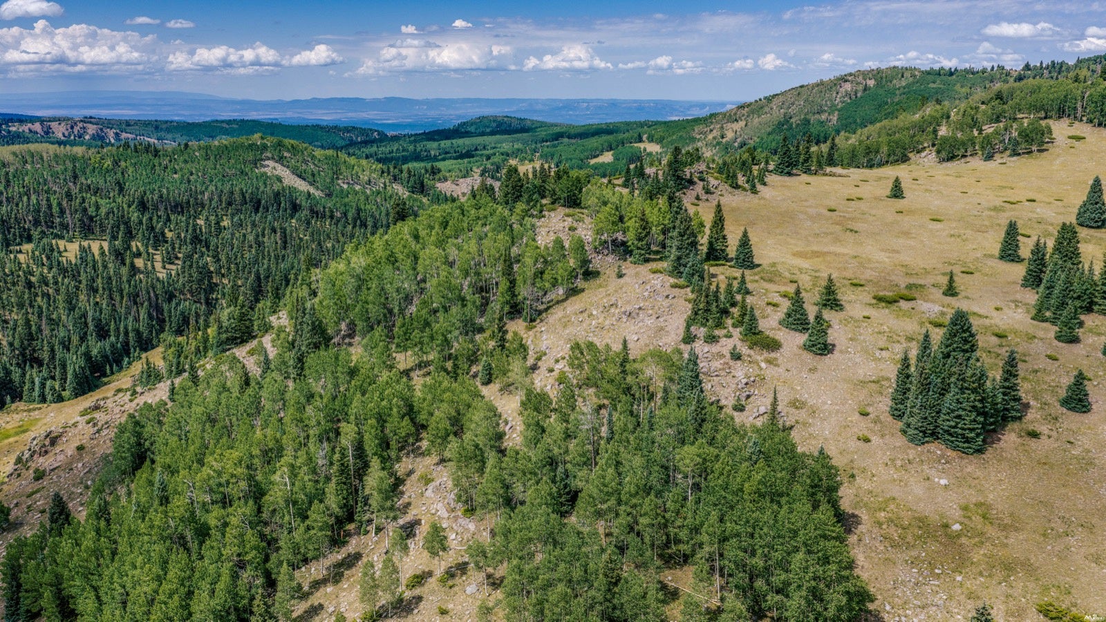 0 Buckman Road Chama, NM 87520 - Photo 11 of 27 Gallery Image 11
