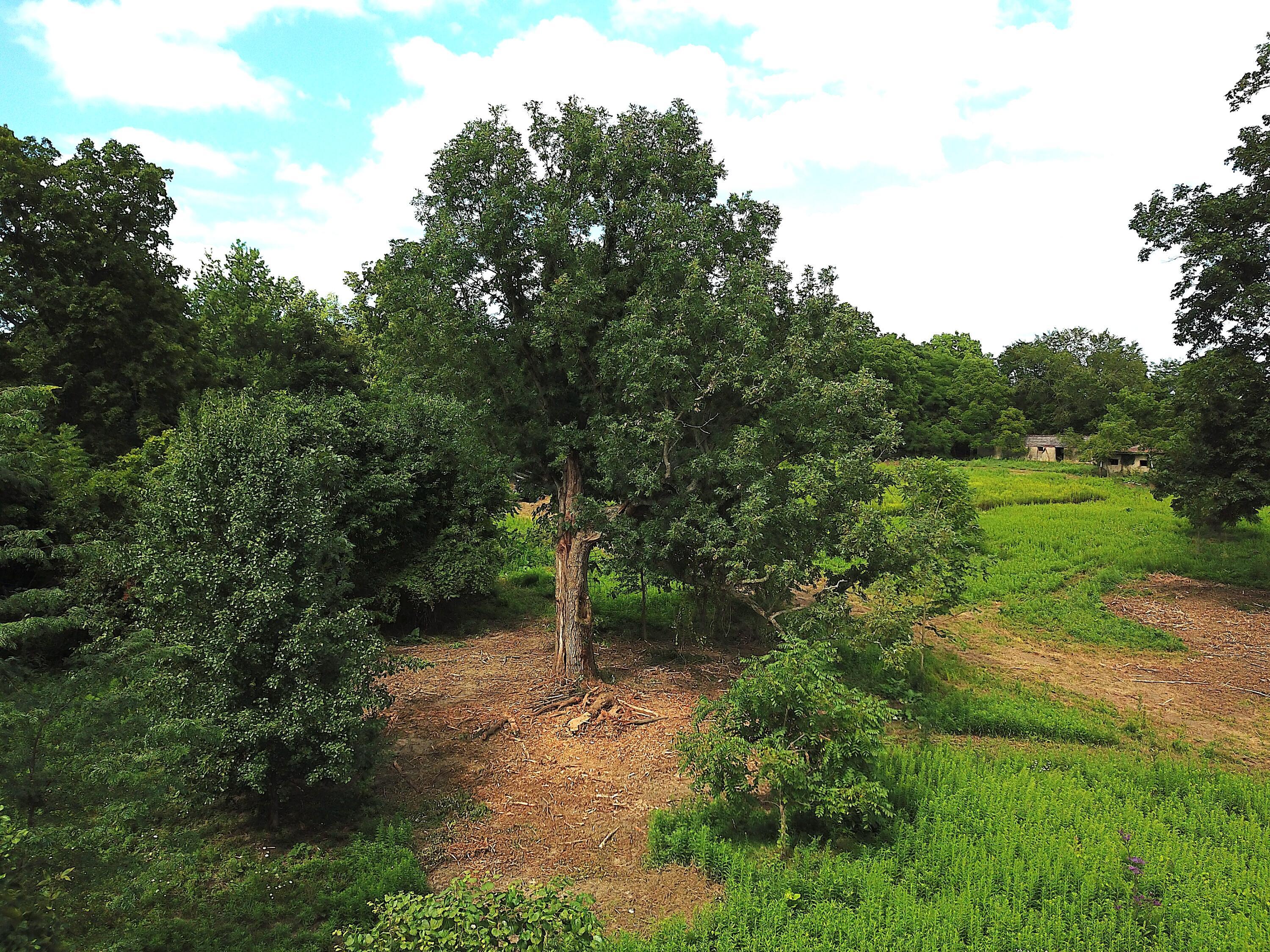 0 North Dean Road Ostrander, OH 43061 - Photo 16 of 38 DJI_0014