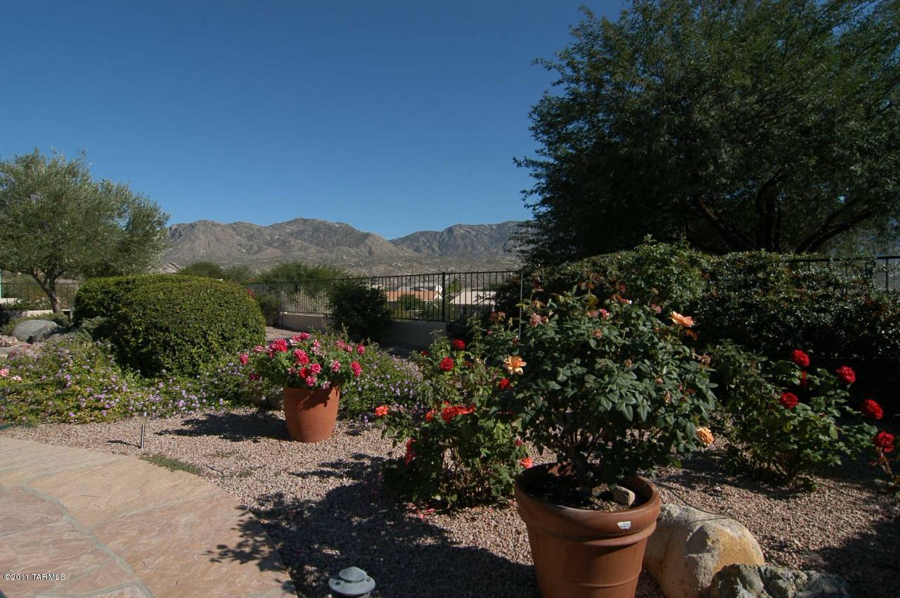 65185 East Diamond Ridge Court Tucson, AZ 85739 - Photo 28 of 30