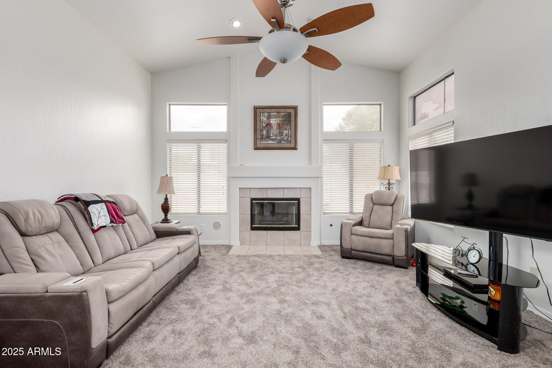 951 North Norfolk Mesa, AZ 85205 - Photo 3 of 45 14 Norfolk