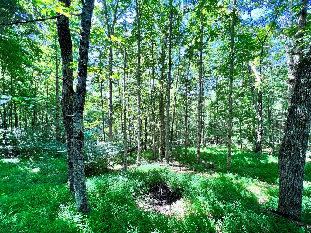 Tbd Nursery Road, Unit 8 9 10 Laurel Fork, VA 24352 - Photo 4 of 21 Gallery Image 4