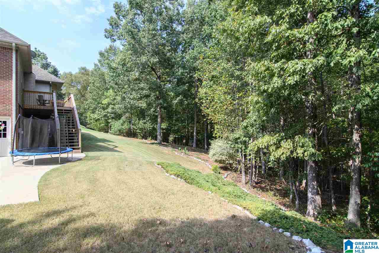 124 Astor Circle Chelsea, AL 35043 - Photo 47 of 50