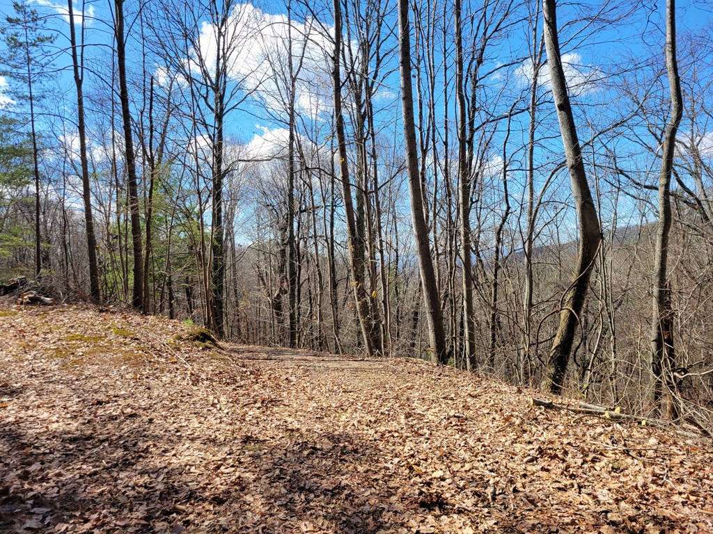 L288 Brushy Top Road Ellijay, GA 30540 - Photo 20 of 22 Gallery Image 20