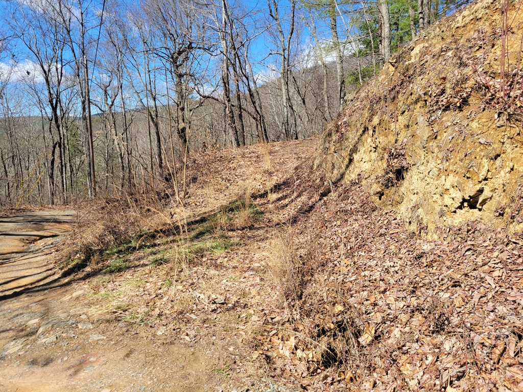 L288 Brushy Top Road Ellijay, GA 30540 - Photo 3 of 22 Gallery Image 3
