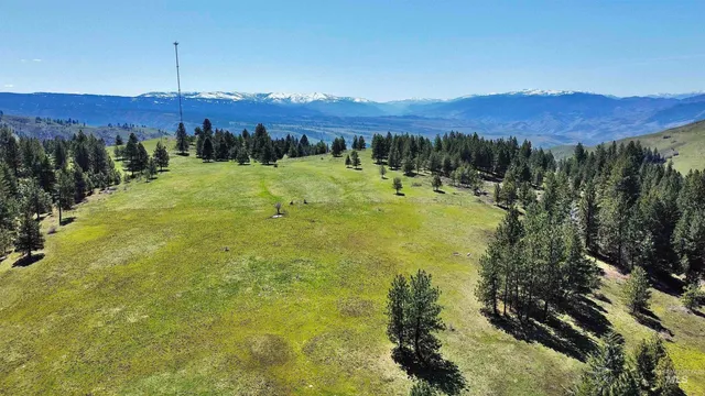 $325,000 | 2138-p 3 Old White Bird Hill Road, Grangeville, ID 83530