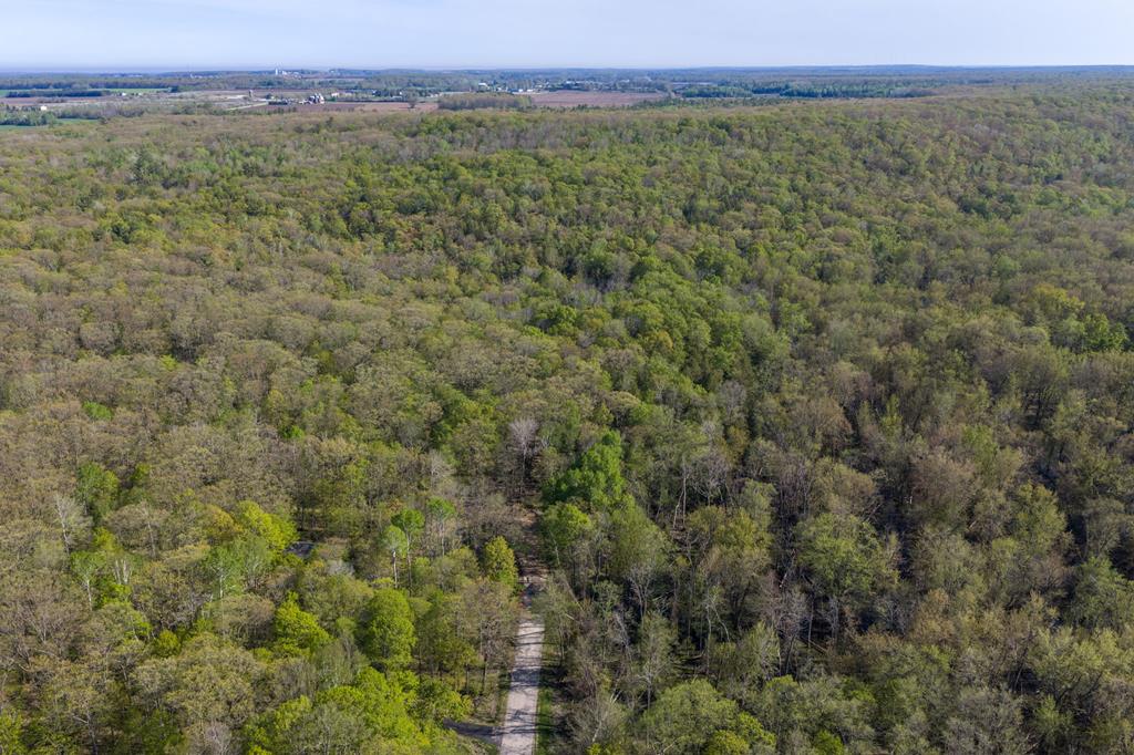 6810 Spring Lane Egg Harbor, WI 54209 - Photo 17 of 32