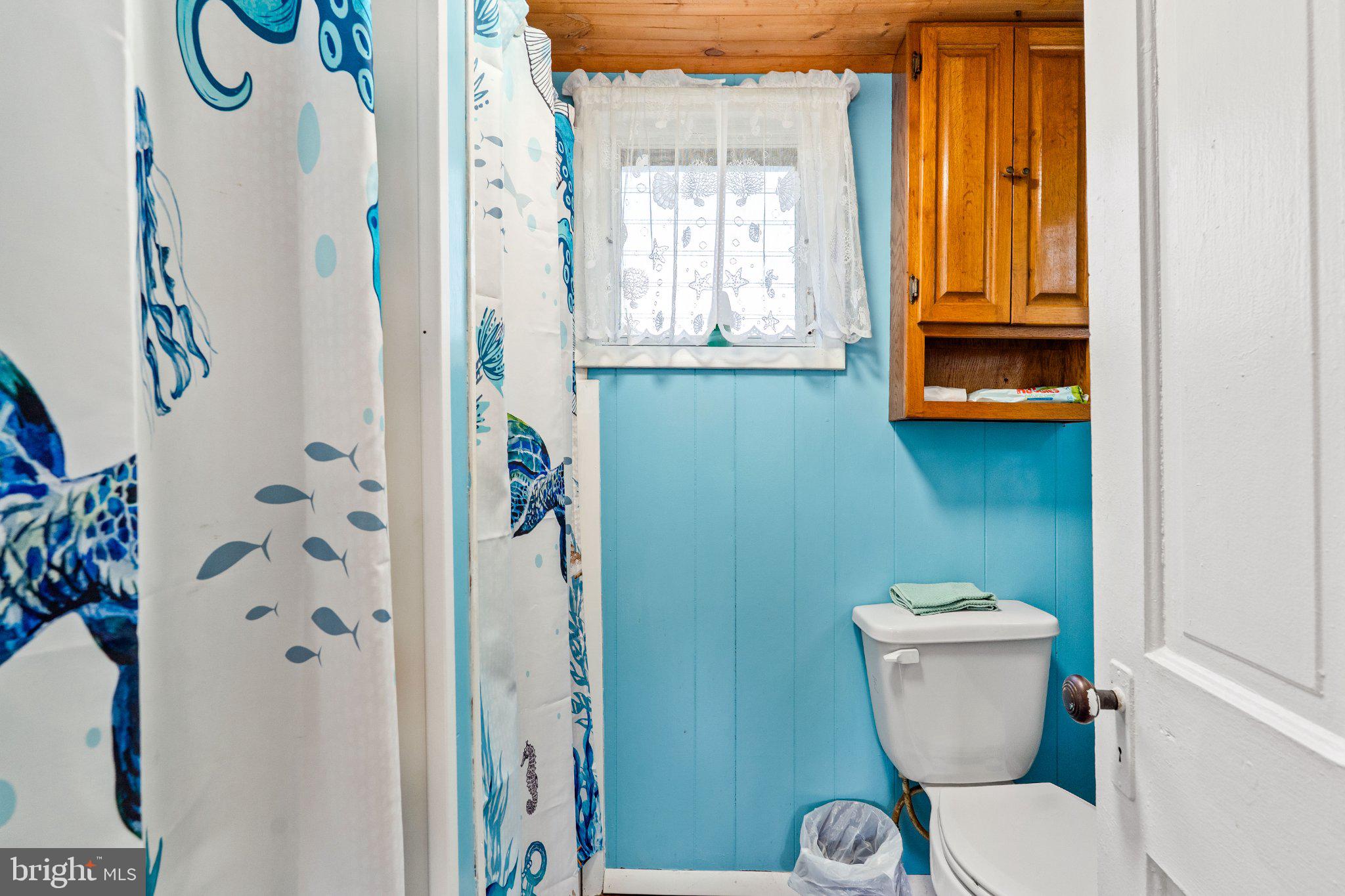 29 Valley Road Earleville, MD 21919 - Photo 15 of 23 Bathroom