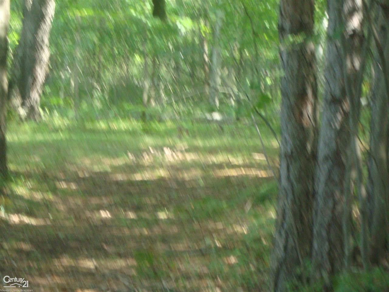 1390 West Youngs Road Gladwin, MI 48624 - Photo 57 of 75