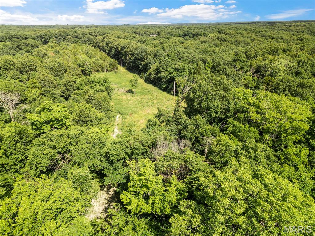 9-acres Timber Ridge Drive Marthasville, MO 63357 - Photo 3 of 22
