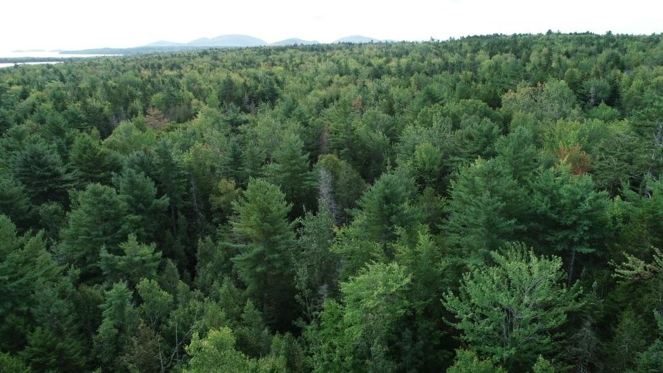 Tbd Needle's Eye Road Lamoine, ME 04605 - Photo 7 of 7 screen_3f949180cd7fa932_1600091728000