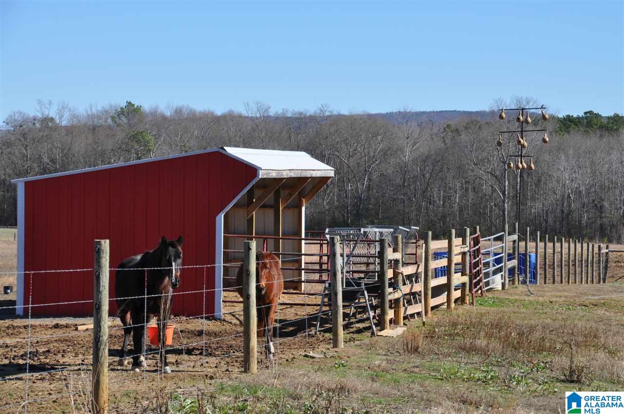 2395 Fairview Church Road Cleveland, AL 35049 - Photo 36 of 37