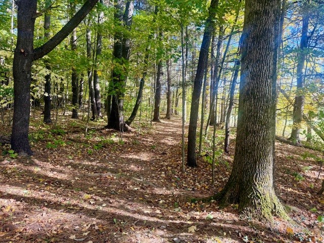 142 John Smith Road Pharsalia, NY 13844 - Photo 41 of 50 Gallery Image 41