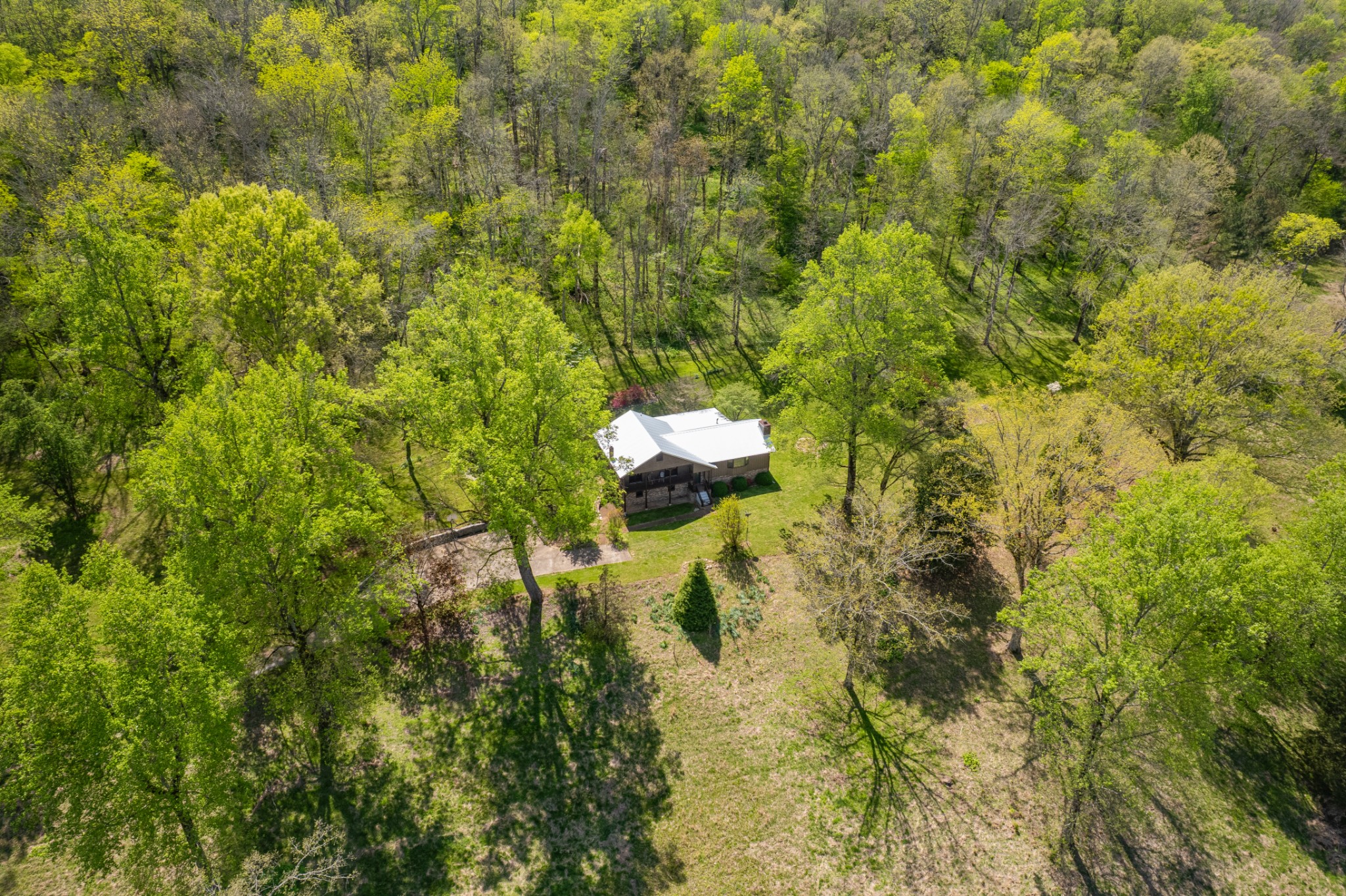 8039 Campbellsville Road Pulaski, TN 38478 - Photo 68 of 100