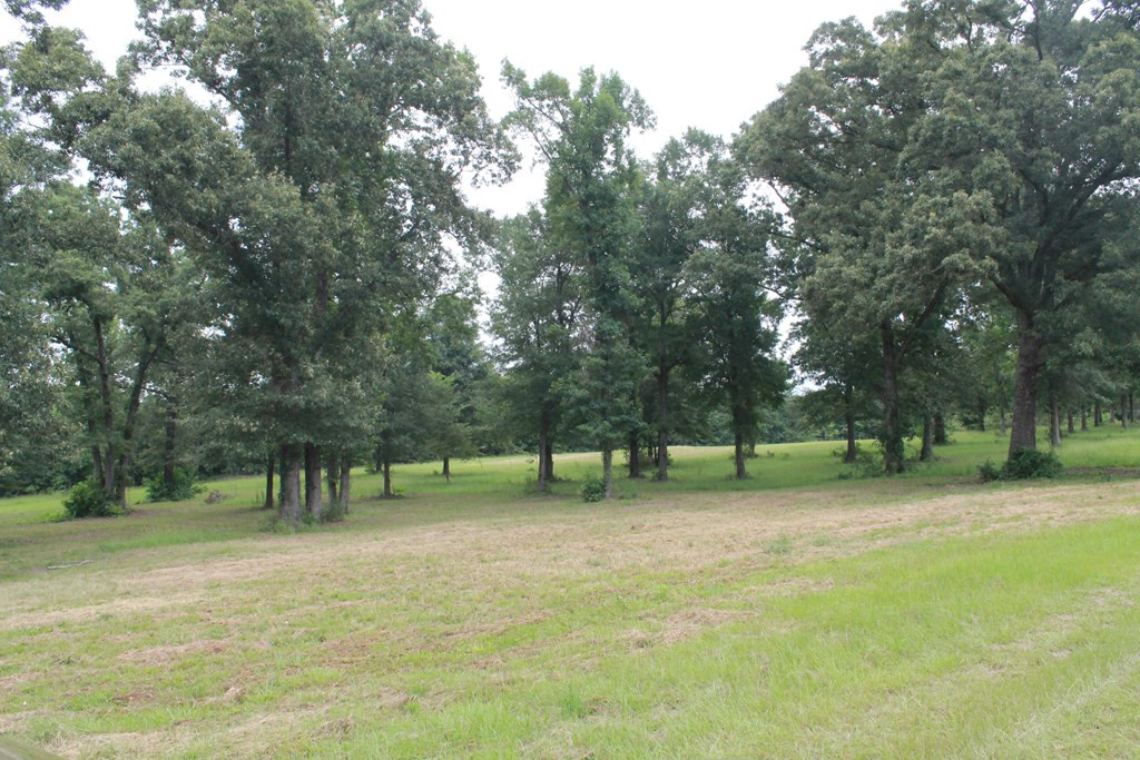 271 Swint Road Gibson, GA 30810 - Photo 3 of 27