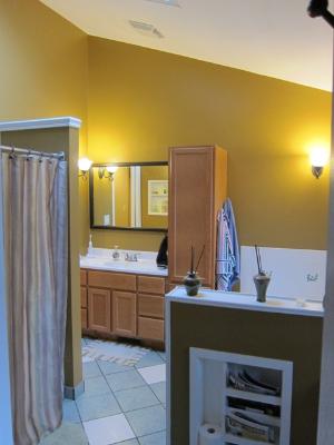 976 Ruth Drive Elgin, IL 60123 - Photo 7 of 15 a bathroom with a sink and a mirror
