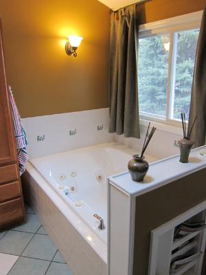976 Ruth Drive Elgin, IL 60123 - Photo 8 of 15 a bathroom with a bathtub and a sink