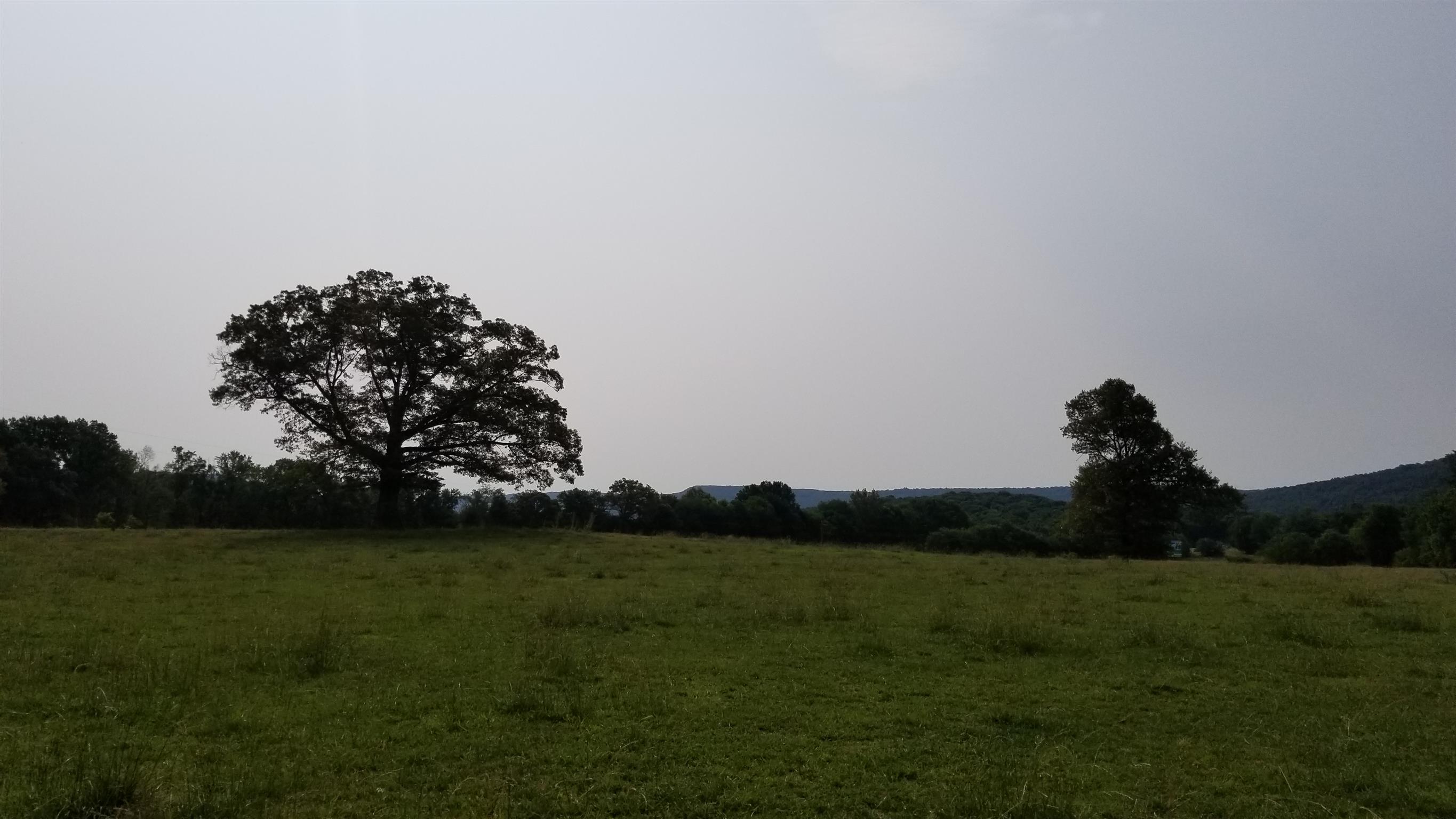 0 Bells Mill Road Pelham, TN 37366 - Photo 1 of 4 a view of garden with trees in the background