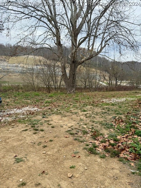 55 Stowers Road Griffithsville, WV 25521 - Photo 6 of 19 Gallery Image 6