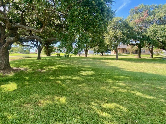 Tbd Clearview Street Point Blank, TX 77364 - Photo 6 of 9 a big yard with lots of green space and trees