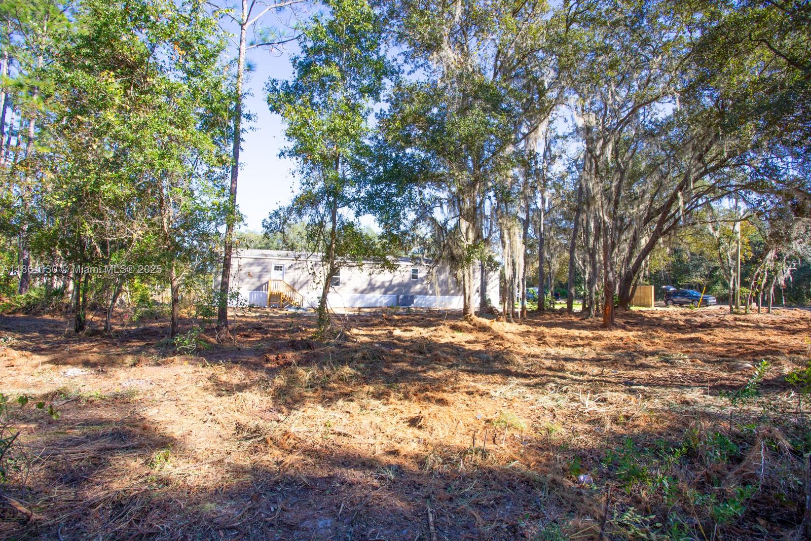 128 Osborne Street Interlachen, FL 32148 - Photo 11 of 14 a view of a yard with large trees