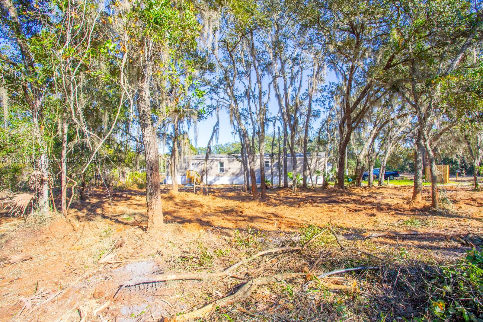 128 Osborne Street Interlachen, FL 32148 - Photo 12 of 14 a view of yard covered with snow in front of house
