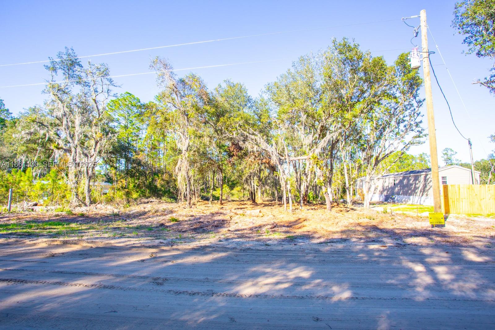 128 Osborne Street Interlachen, FL 32148 - Photo 13 of 14 a view of yard with yellow lighting