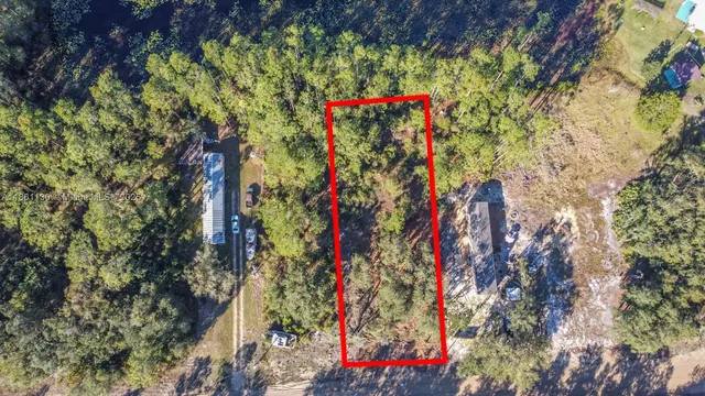 a view of a yard with trees