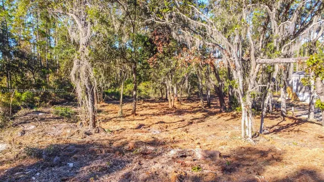 a view of outdoor space with trees