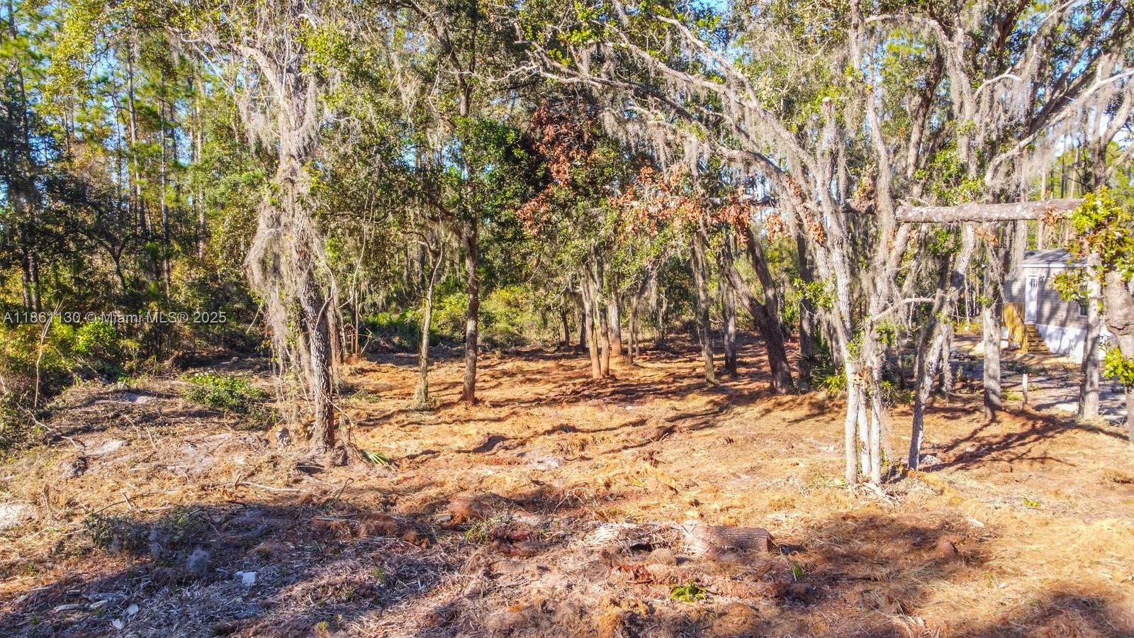 128 Osborne Street Interlachen, FL 32148 - Photo 8 of 14 a view of a yard with trees