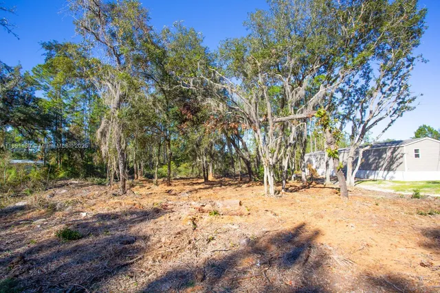 a view of a yard with large trees