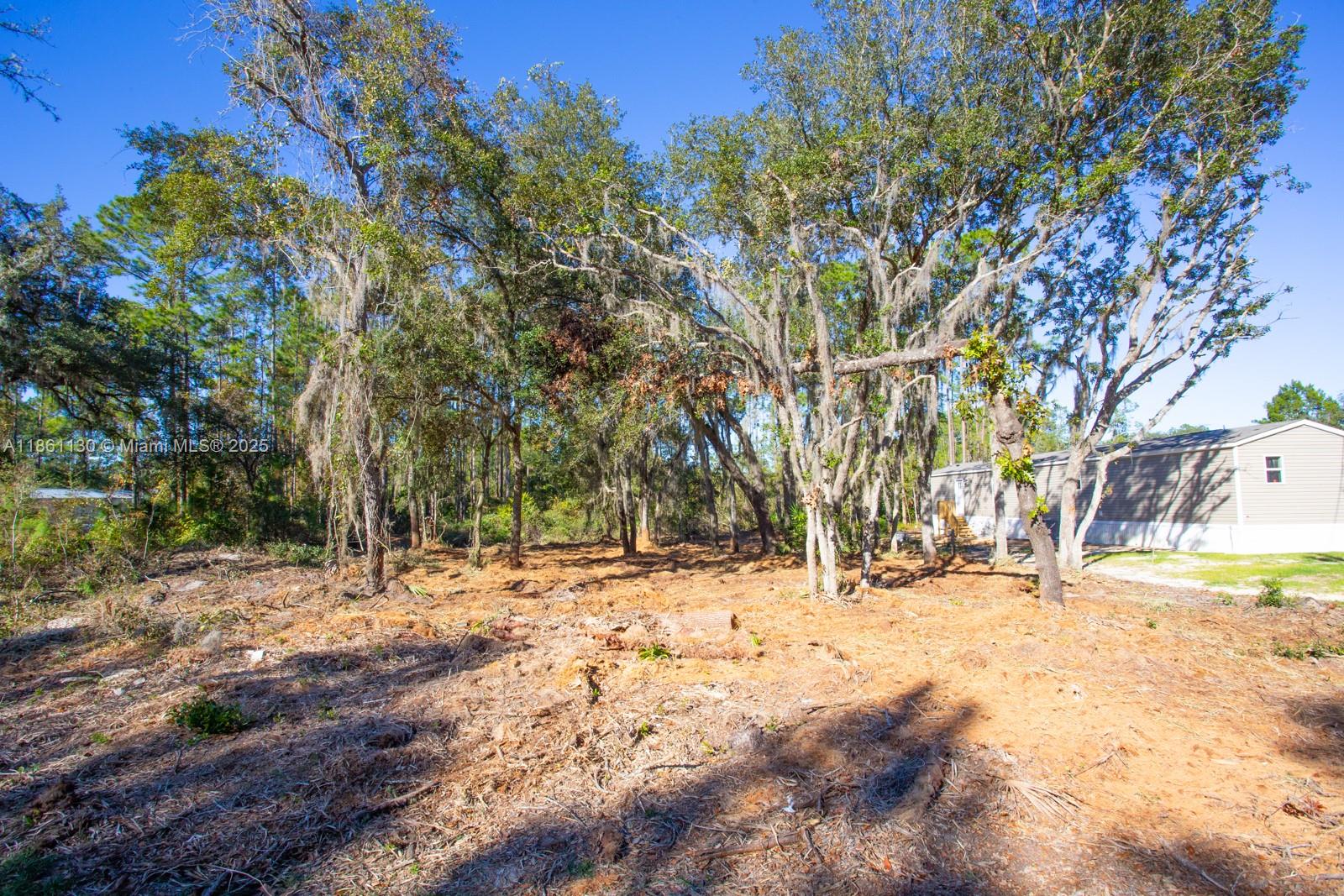 128 Osborne Street Interlachen, FL 32148 - Photo 9 of 14 a view of snow on a road with large trees