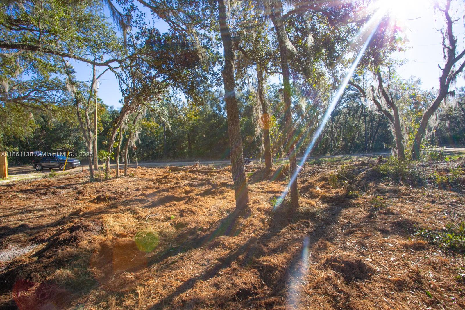 128 Osborne Street Interlachen, FL 32148 - Photo 10 of 14 a view of outdoor space with trees