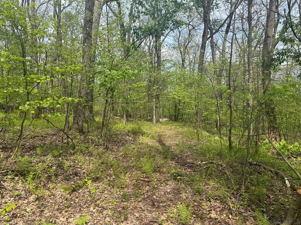 Mountain Road Johnstown, PA 15906 - Photo 2 of 9
