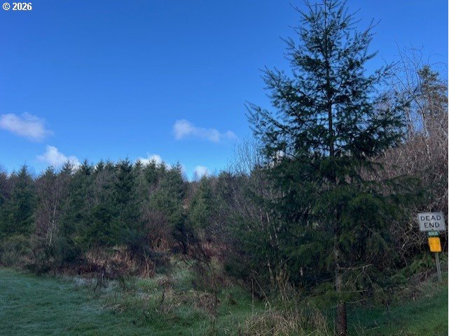 Northwest Wilcox Drive Timber, OR 97144 - Photo 2 of 10