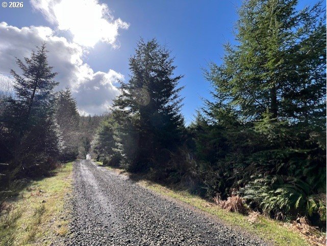 Northwest Wilcox Drive Timber, OR 97144 - Photo 3 of 10