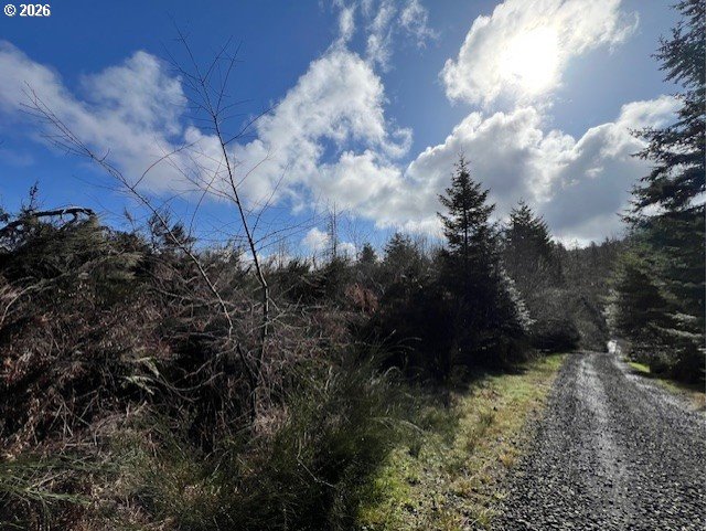 Northwest Wilcox Drive Timber, OR 97144 - Photo 4 of 10