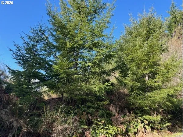 $179,900 | Northwest Wilcox Drive, Timber, OR 97144