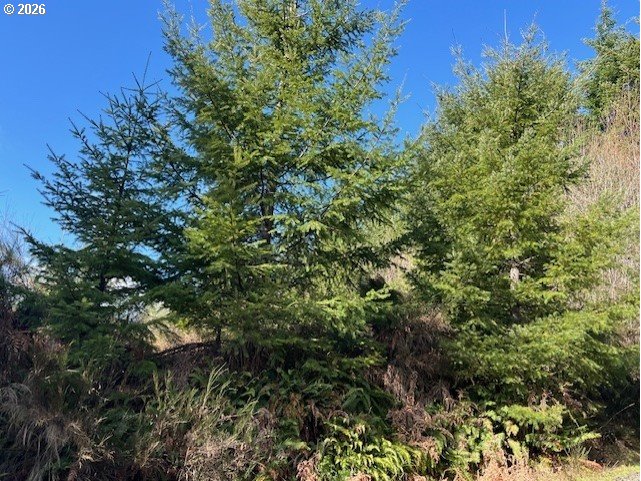 Northwest Wilcox Drive Timber, OR 97144 - Photo 7 of 10