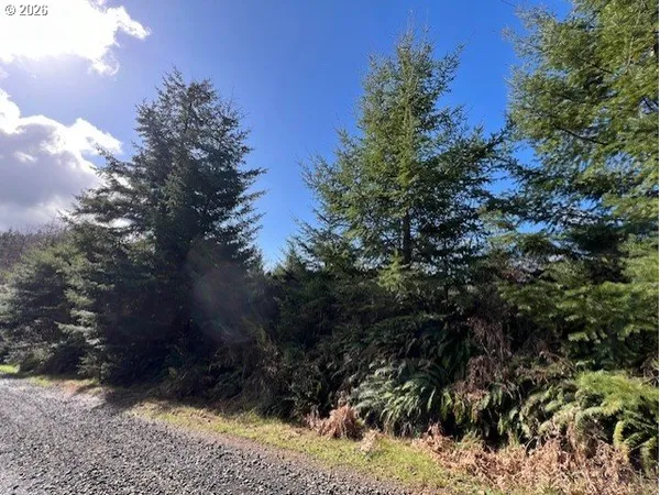 $179,900 | Northwest Wilcox Drive, Timber, OR 97144
