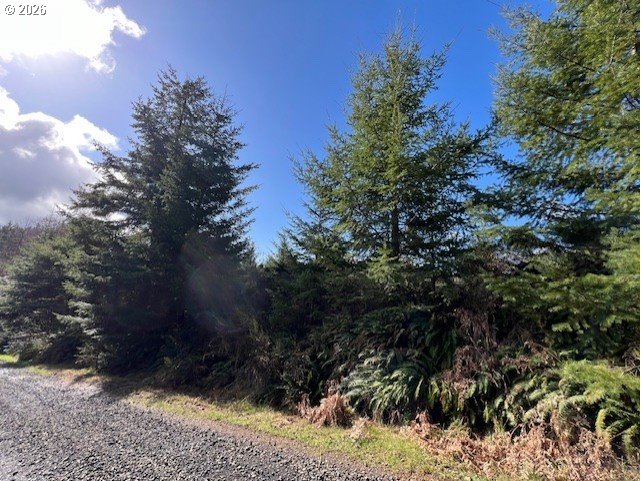 Northwest Wilcox Drive Timber, OR 97144 - Photo 8 of 10