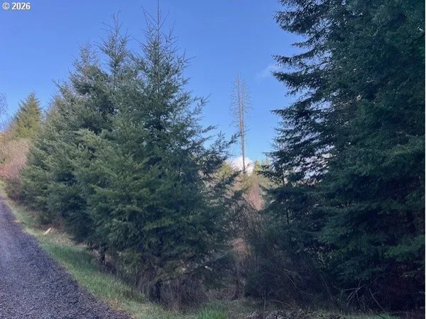 $179,900 | Northwest Wilcox Drive, Timber, OR 97144
