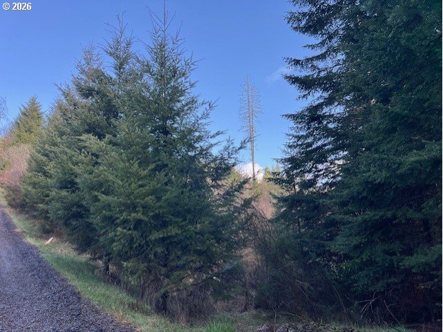 Northwest Wilcox Drive Timber, OR 97144 - Photo 9 of 10