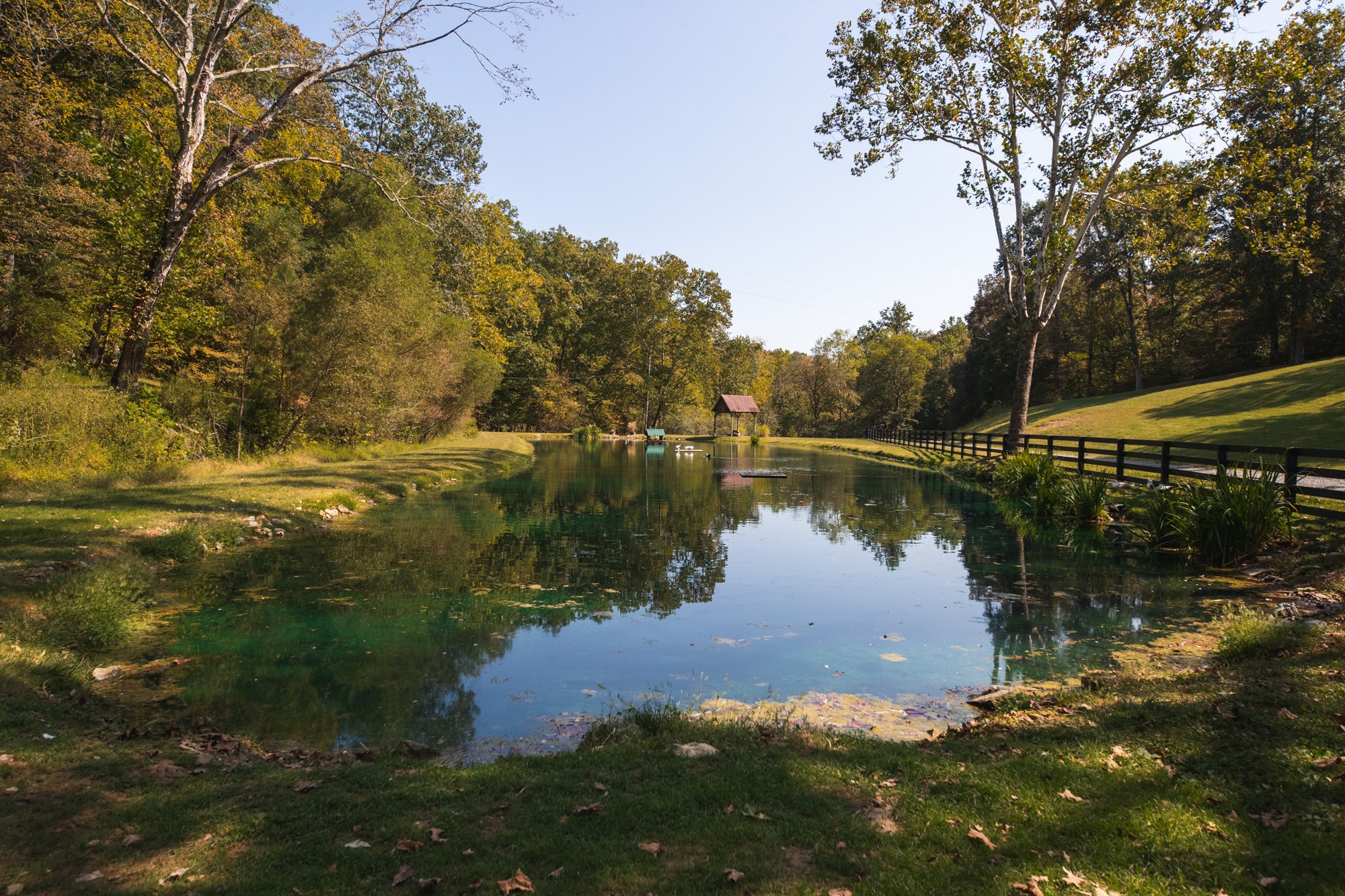325 Hickman Springs Road Centerville, TN 37033 - Photo 13 of 70 Gallery Image 13