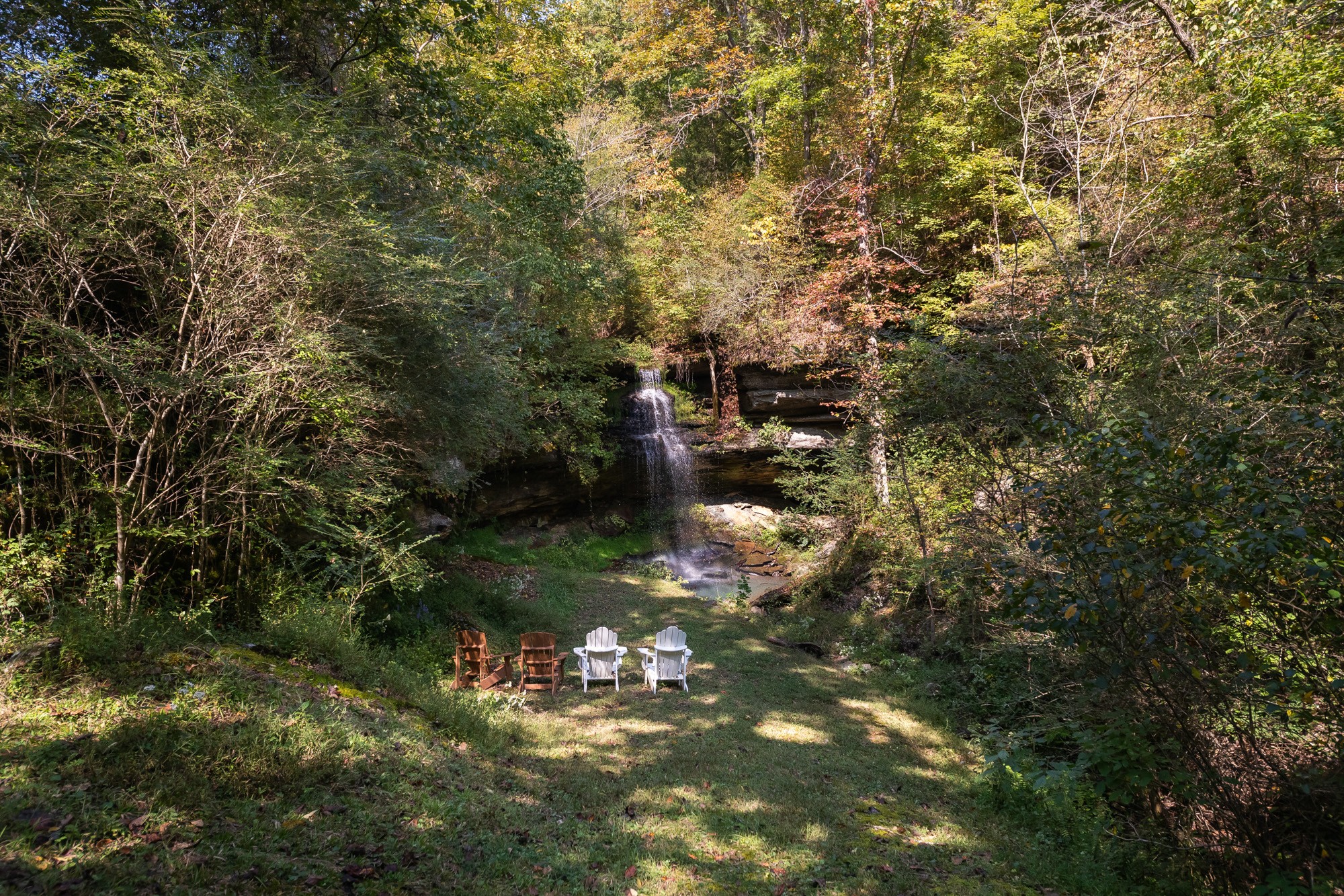 325 Hickman Springs Road Centerville, TN 37033 - Photo 16 of 70 Gallery Image 16